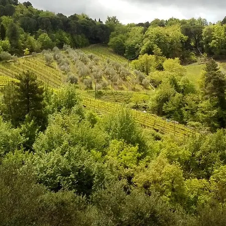 Little Della Pieve Bed & Breakfast *